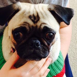 Meet your Posher, Wendy